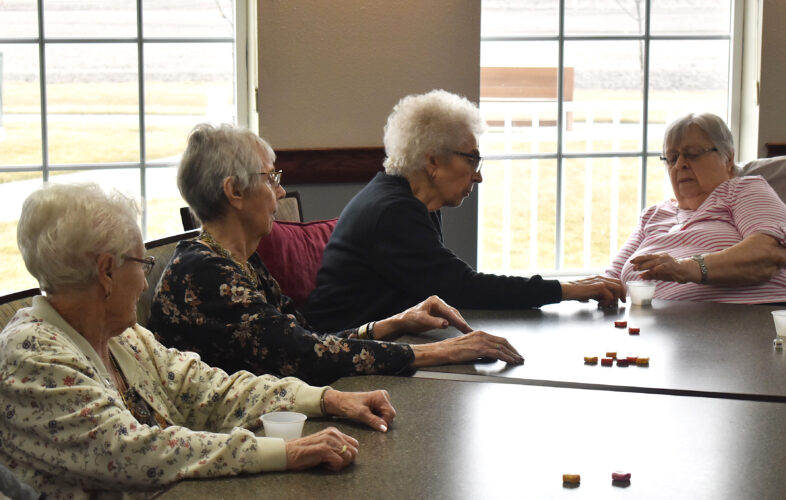 Goldfinch puts focus on activities | News, Sports, Jobs - Fairmont Sentinel